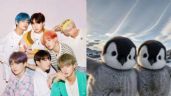 Foto ilustrativa de la nota titulada: Elige un pingüino adorable y te diremos qué miembro de BTS es tu alma gemela