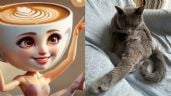 Foto ilustrativa de la nota titulada: ¿Cuál es el origen del meme de Tiktok 'Ballerina capuchina'?