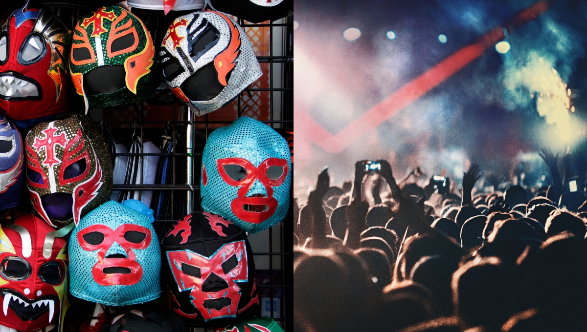Diferencia entre Arena CDMX y Arena México