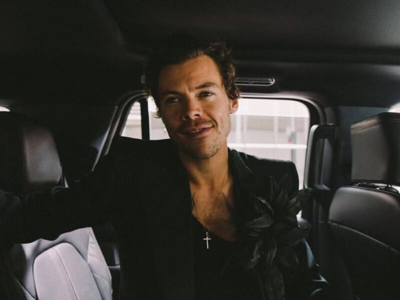 Cuáles son los juguetes para adultos de la marca de Harry Styles