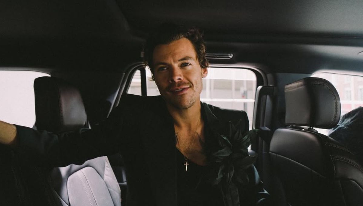 Cuáles son los juguetes para adultos de la marca de Harry Styles