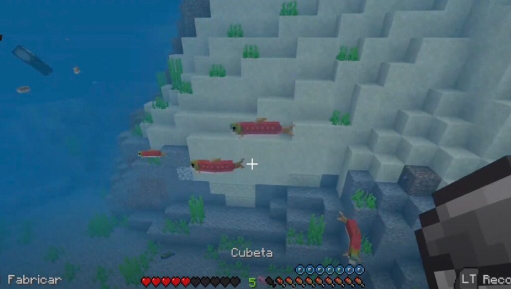 ¿Cómo pescar peces en cubera en Minecraft?