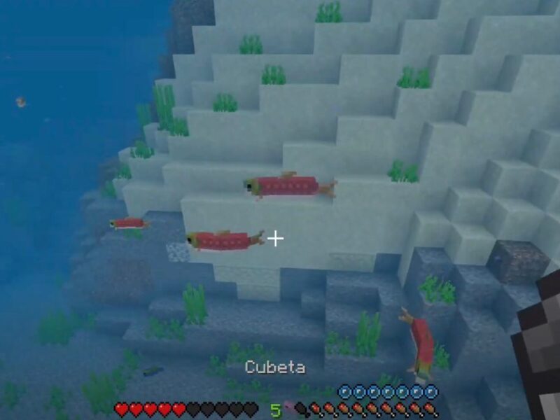 ¿Cómo pescar peces en cubera en Minecraft?