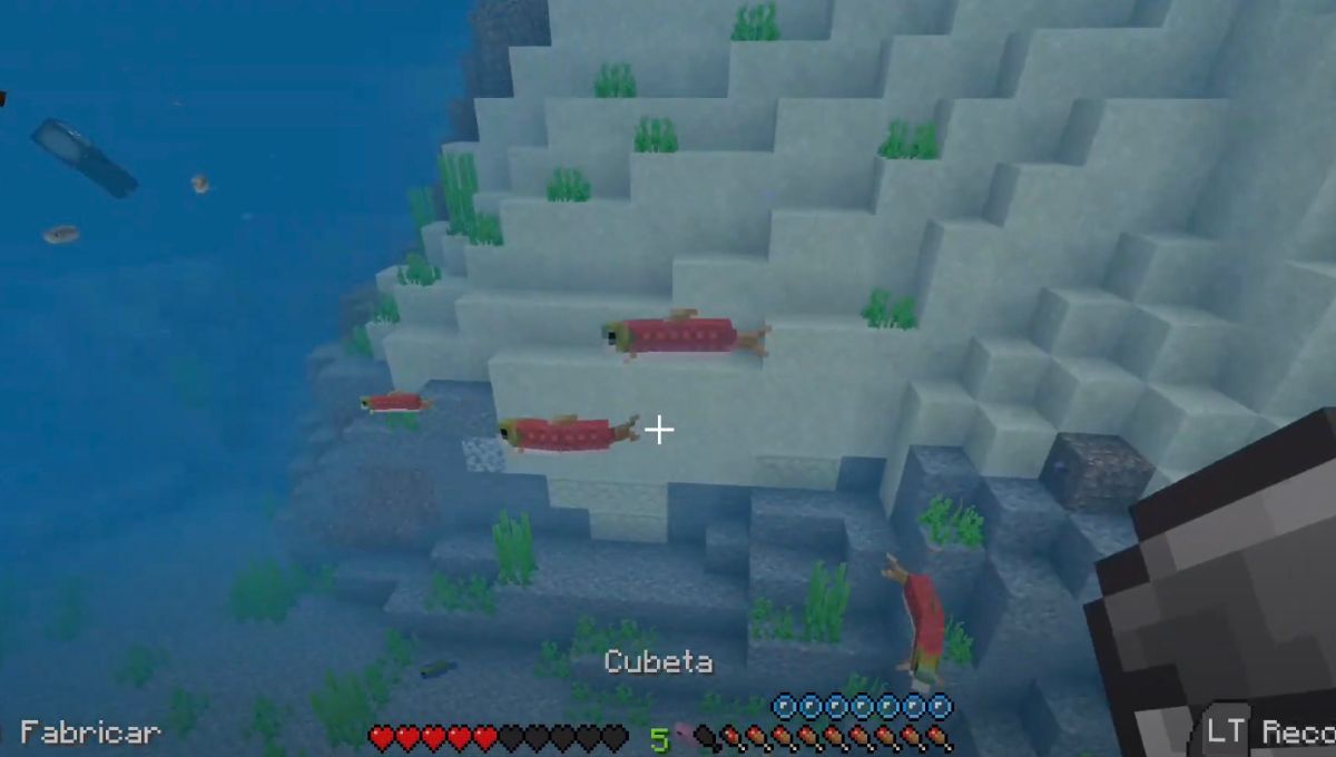 ¿Cómo pescar peces en cubera en Minecraft?