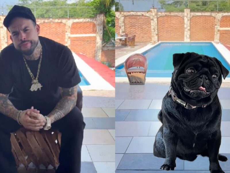 La familia Aguilar se burla de Emiliano con una foto de un perro