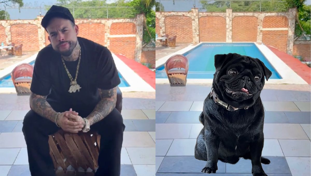 La familia Aguilar se burla de Emiliano con una foto de un perro