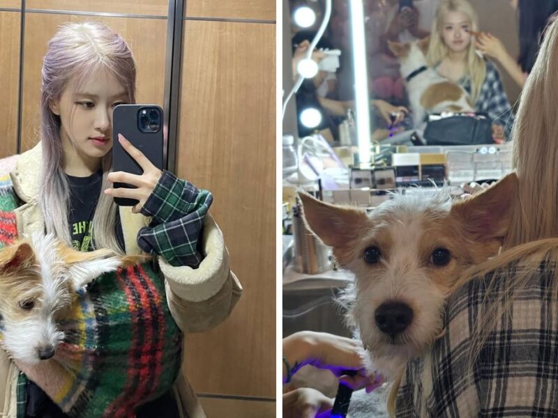 Cuándo adoptó Rosé a Hank