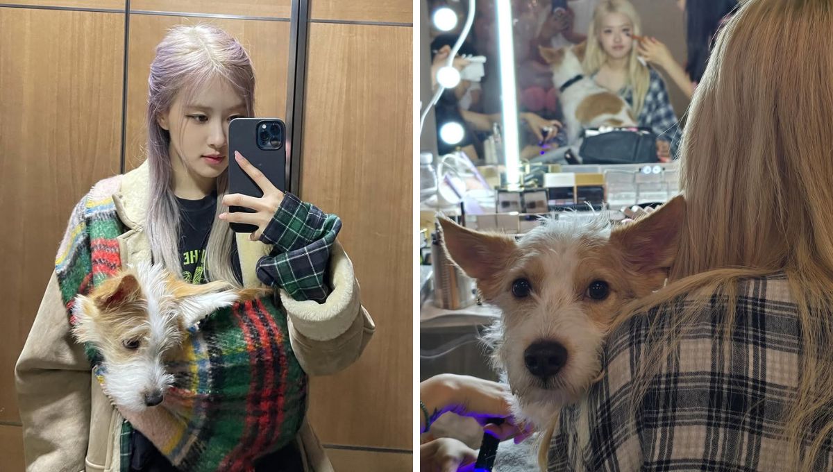 Cuándo adoptó Rosé a Hank