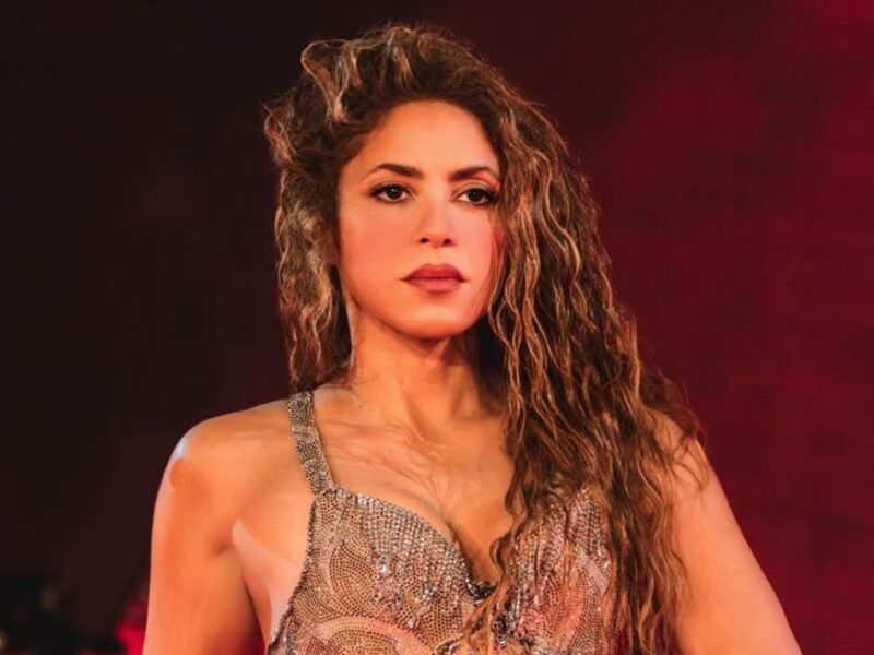 Video de la mujer que se subió a la silla de ruedas en el concierto de Shakira