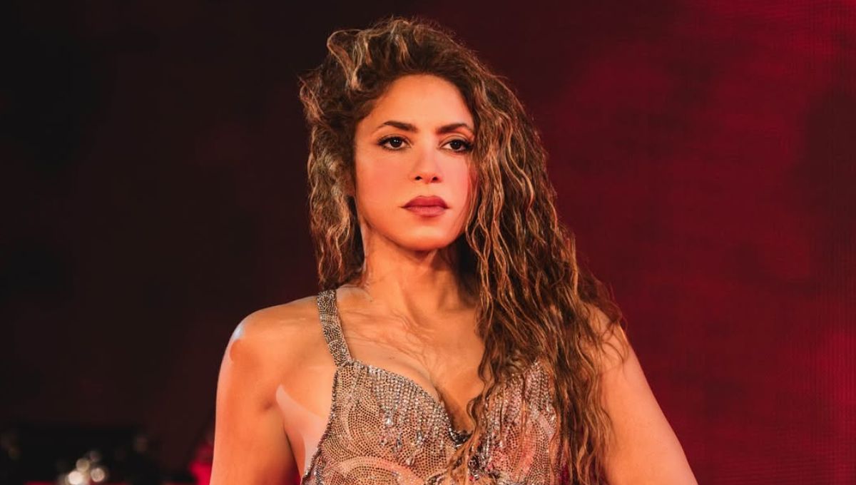 Video de la mujer que se subió a la silla de ruedas en el concierto de Shakira
