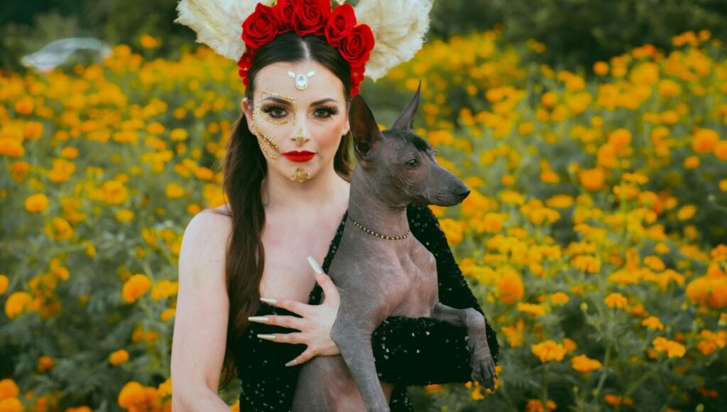 Canciones escritas para mascotas que murieron