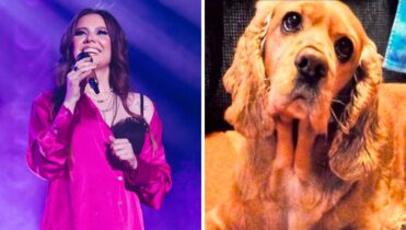 Qué pasó con la perrita de Joy
