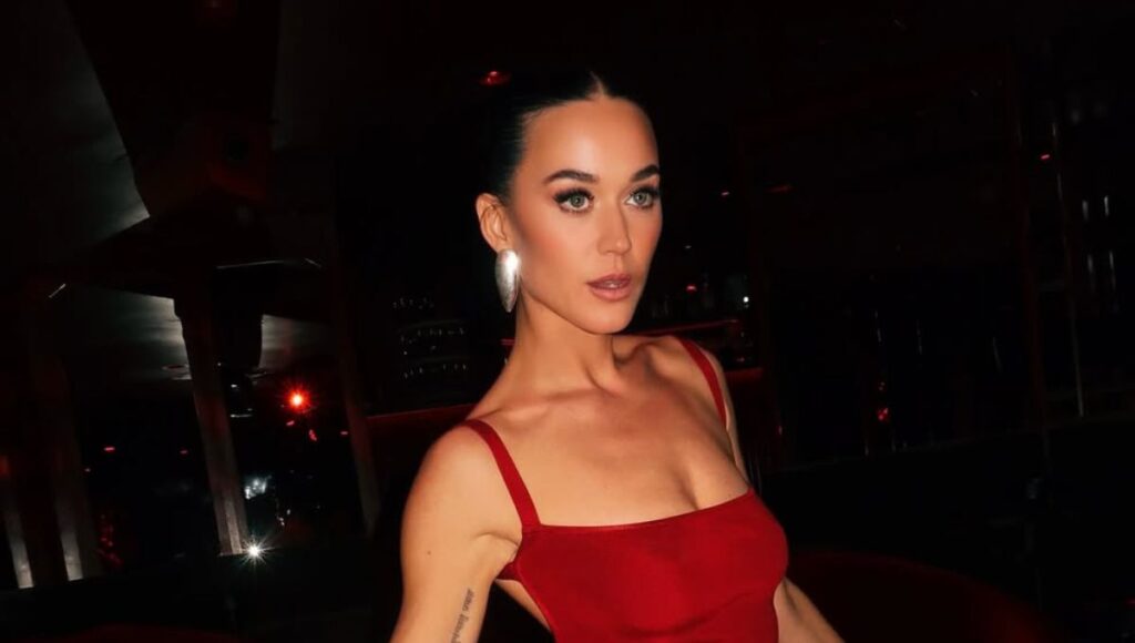 Katy Perry tira pastel hecho por fan