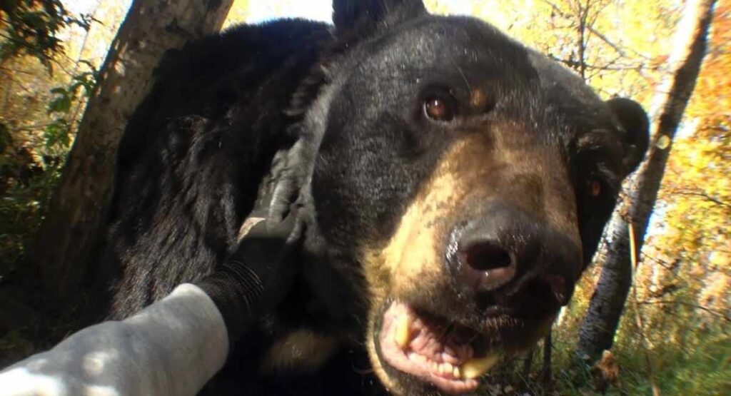 'Past Won't Leave My Bed' de Joji