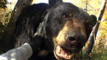 'Past Won't Leave My Bed' de Joji