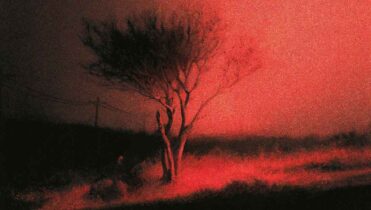 Piss in the Wind nuevo álbum de Joji