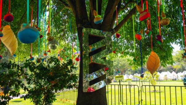 Recreo en Bahidorá 2026