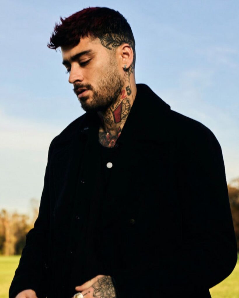 Mau y Ricky son acreditados como compositores en dos canciones de Zayn