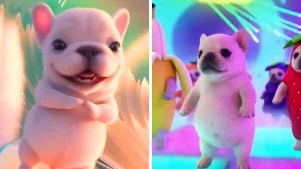 Cuál es la canción de los videos virales del perrito Pibble bailando
